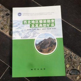 西北地区整装勘查及其典型矿床
