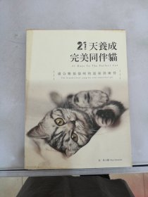 21天养成完美同伴猫【满30包邮】