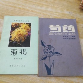 菊花，芍药