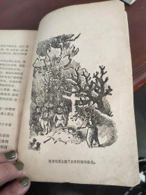 凡尔纳选集《海底两万里》第一部