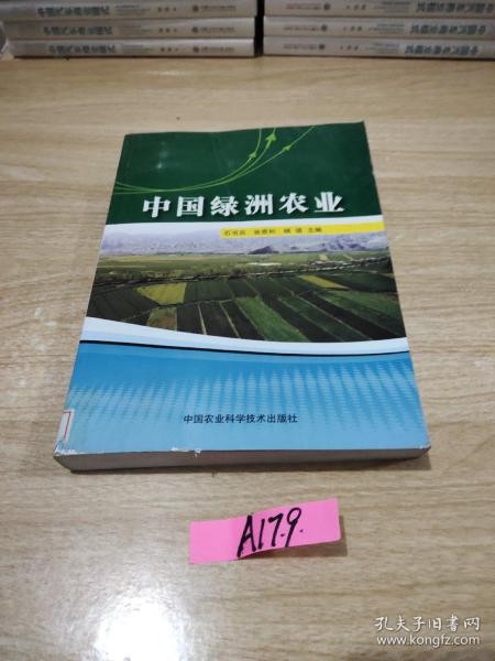 中国绿洲农业