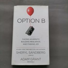 Option B: Facing Adversity, Building Resilience, and Finding Joy