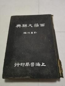 西藥大辭典