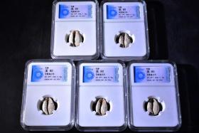先秦天然海贝币ACGA评级币80分一枚保真相同分数随机发货古代钱币