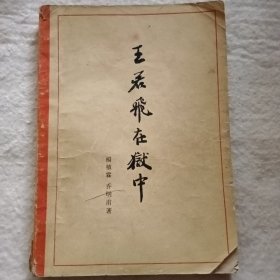王若飞在狱中