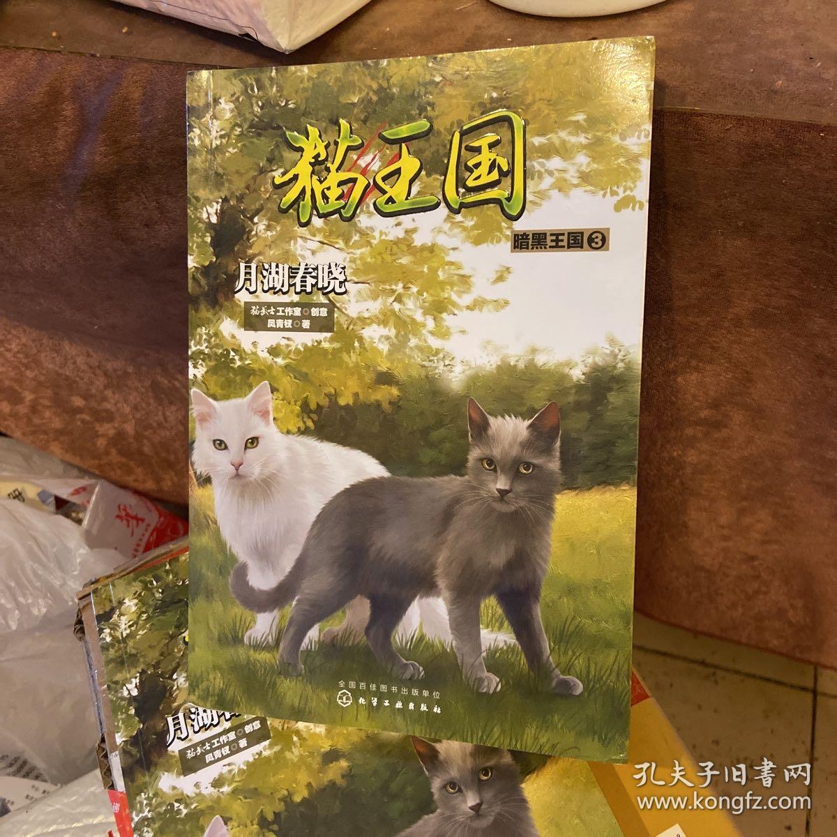 猫王国·暗黑王国.3，月湖春晓