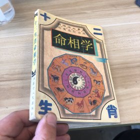 十二生肖命相学