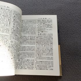 古代汉语词典