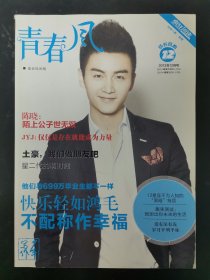 青春风 2013年 12月号 封面：陈晓 陌上公子世无双 快乐轻如鸿毛不配称作幸福 杂志