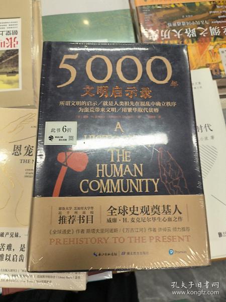 5000年文明启示录（比肩《全球通史》，世界近千所高校历史学推荐书目）