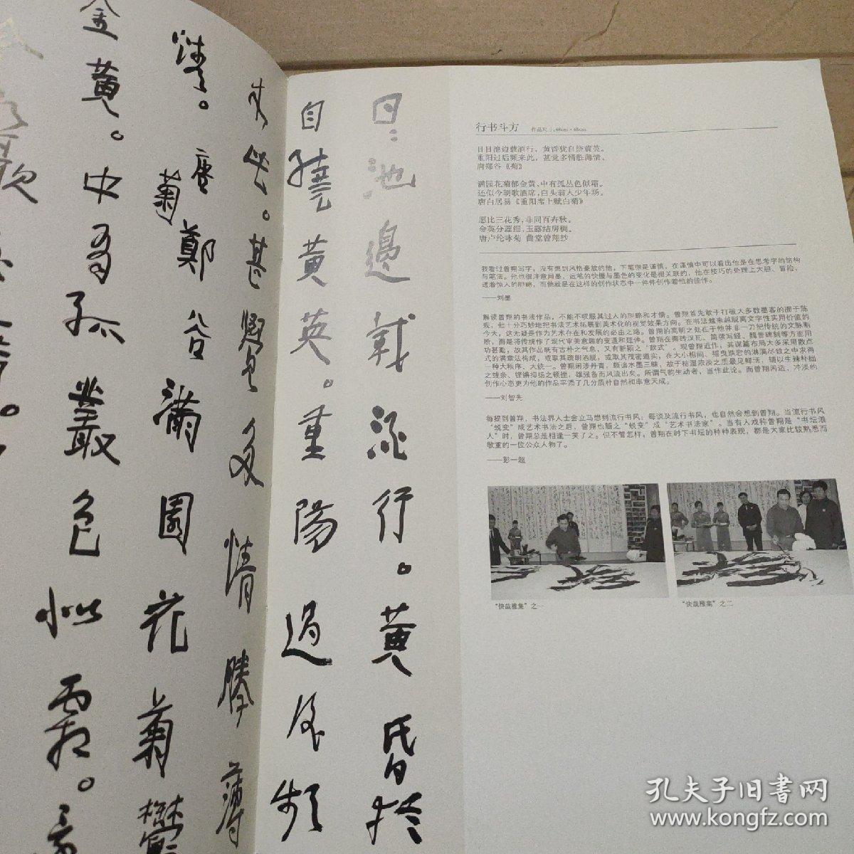 中国书法 2008年第7期曾翔卷（增刊）