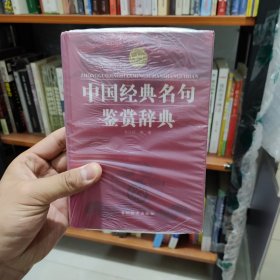 中国经典名句鉴赏辞典