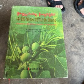 中国傣医药彩色图谱（一半的彩图受潮粘一起，正文全好）