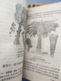 植物学浅说（1959年一版一印）