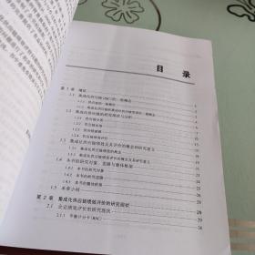 集成化供应链绩效评价体系及应用 （21世纪管理）