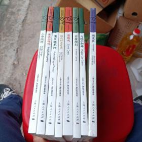 上海市国家级非物质文化遗产代表性项目丛书：八册
