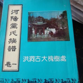 洛阳党氏族谱（全五卷）洪洞古大槐树处