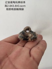 辽金黑釉瓷龟玩具标本
