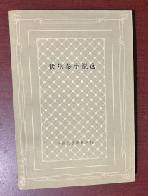 伏尔泰小说选（网格本）