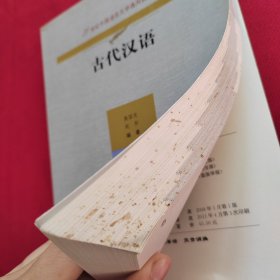 古代汉语（21世纪中国语言文学通用教材）