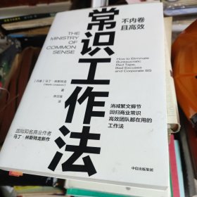 常识工作法:不内卷且高效 马丁·林斯特龙 著 痛点 品牌洗脑 作者新作