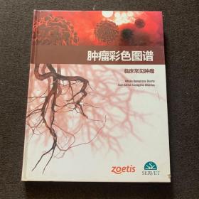 肿瘤彩色图谱 临床常见肿瘤