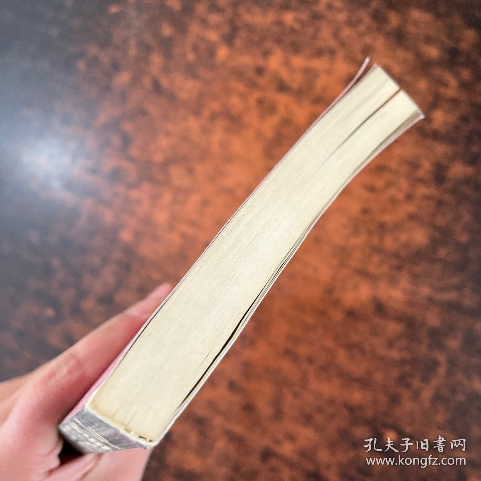 小康社会:文化生态与全面发展