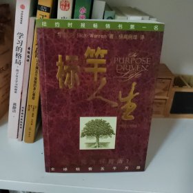 标竿人生(中英文对照版)