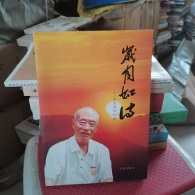 中国盐文化史