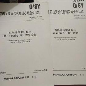 中国石油天然气集团公司企业标准 Q/SY 1254.13-2011 内部通用审计规范-第2部分 后续审计、第8部分 审计统计、第9部分 审计评价、第10 部分 审计信息、第13部分 审计作业控制、第14部分 审计文件控制、第15部分 分析性复核、第16部分 审计抽样、第17部分 重要性与审计风险、9本