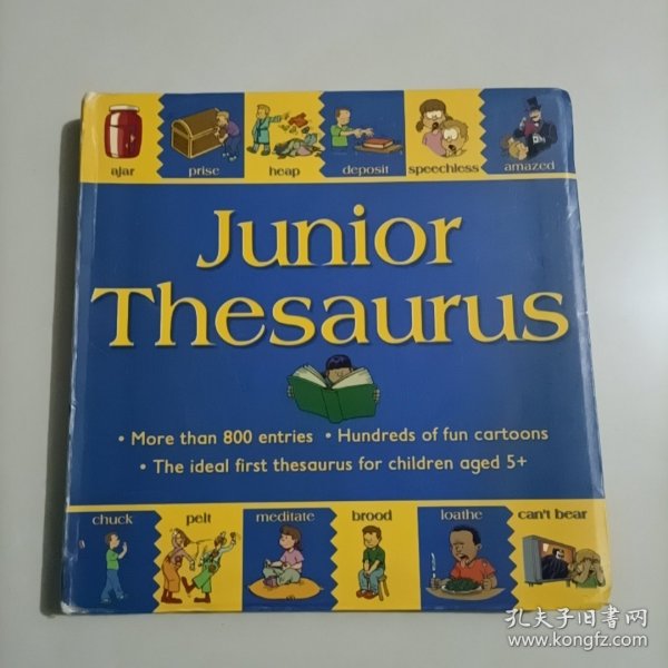 junior thesaurus