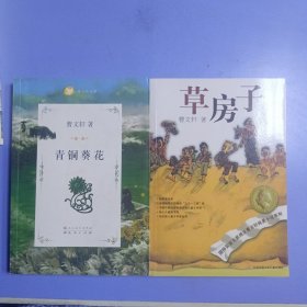 曹文轩作品集：青铜葵花 草房子（两本合售）