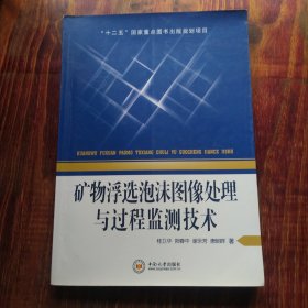 矿物浮选泡沫图像处理与过程监测技术