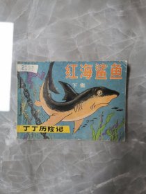红海鲨鱼（上）