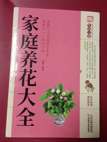 家庭养花大全