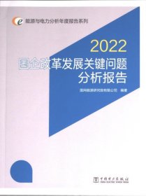 国企改革发展关键问题分析报告