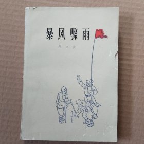暴风骤雨