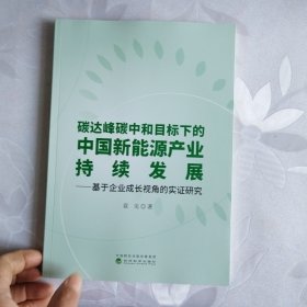 碳达峰碳中和目标下的中国新能源产业持续发展--基于企业成长视角的实证研究