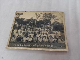 相片：广东省外贸百货汽车发理工作会议全体代表合影1962年，相片边有点破，尺寸20.3X15.3，品相如图）