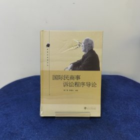 国际民商事诉讼程序导论