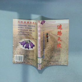 迷路天使 一个中学生逃学两天的经历和感受  罗萌 伊犁人民出版社
