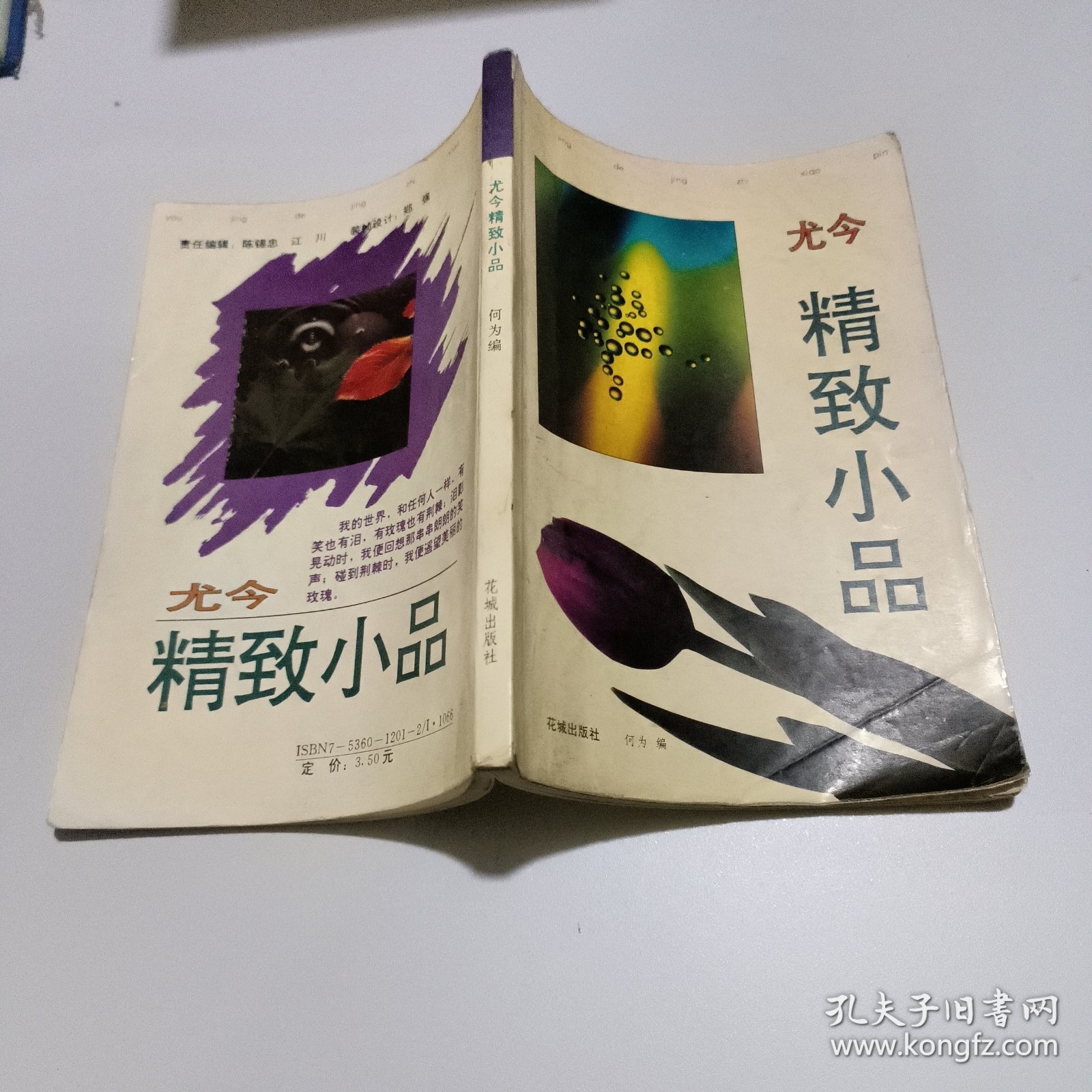 点击查看原图 尤今精致小品