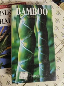 Bamboo竹子的故事 神奇的植物