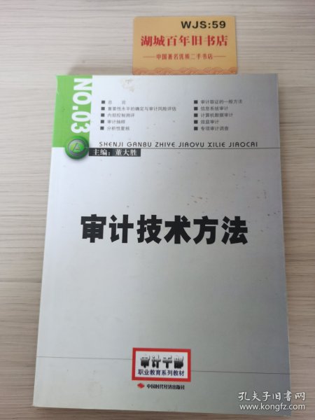 2014年高级审计师考试教材审计技术方法（沿用2013年版）