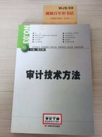 2014年高级审计师考试教材审计技术方法（沿用2013年版）