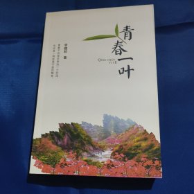 青春一葉