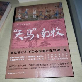 爱上历史系列丛书——“天马”南牧：元朝的社会与文化