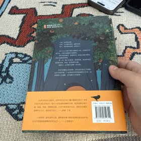 橘子不是唯一的水果