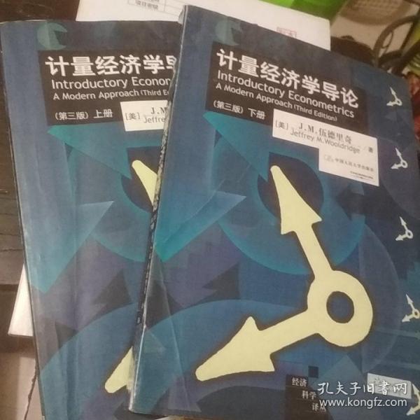 计量经济学导论（上、下册）