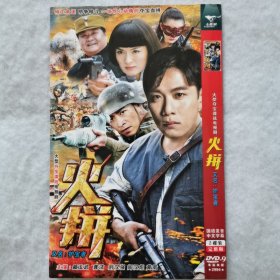 DVD 大型电视剧：火拼（又名：护宝者）（2碟装）